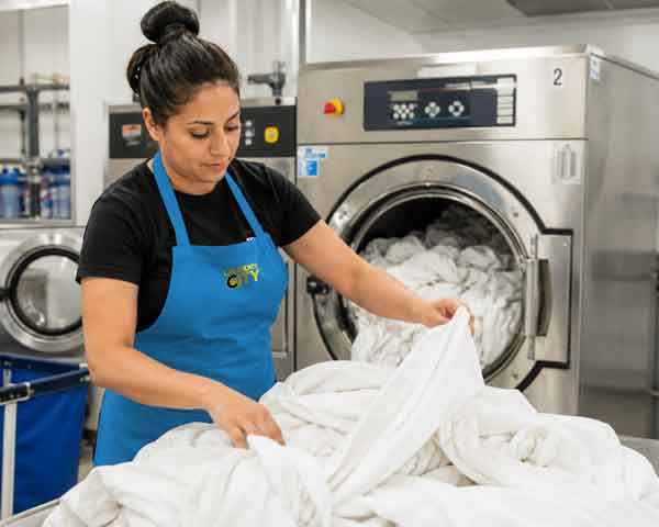Professional Laundry Service Attendant Sorting and Pre-Treating Stains